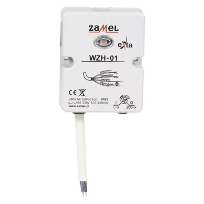 &amp;Icirc;ntrerupător crepuscular perete 230V SPST IP65 WZH-01 foto