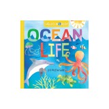 Hello, World! Ocean Life