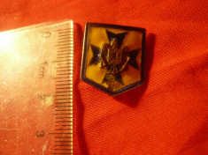 Miniatura Insigna Straja Tarii - Cercetasii Romaniei , h= 2,5cm ,email ciobit foto