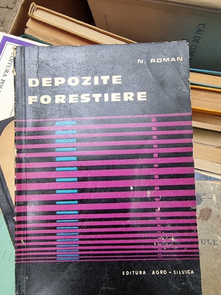 DEPOZITE FORESTIERE - N. ROMAN