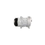 Compresor Clima Mercedes-Benz A-Class W169 Denso Dcp17070