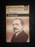 Mihai Neagu Basarab - Pe urmele lui Victor Babes