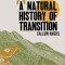 A Natural History of Transition