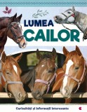 Lumea cailor - Kreativ