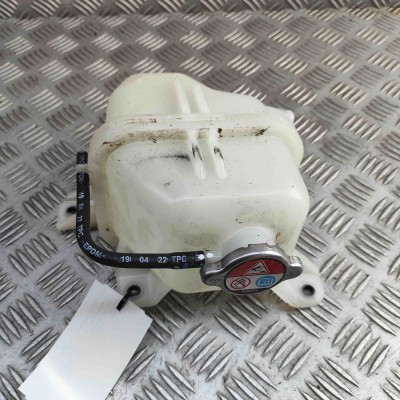 Vas de expansiune HONDA e:Ny1 2024 OEM: 1J161-6PA-H01 31931754 foto