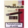 Tigari Foi Pegasus, 55g, Pachet 6 Bucati, Cigarillos