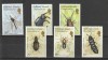 Fauna,gaze,gandaci,Falkland., Nestampilat