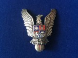 Insigna Romania - Specialist de clasa - clasa a I-a - Pilot militar - Avia?ie