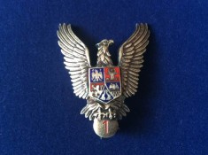 Insigna Romania - Specialist de clasa - clasa a I-a - Pilot militar - Avia?ie foto