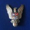 Insigna Romania - Specialist de clasa - clasa a I-a - Pilot militar - Avia?ie