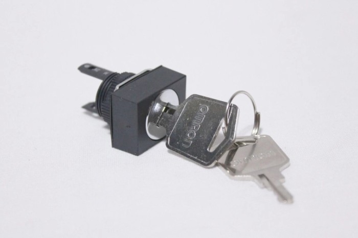 SWITCH KEYLOCK cu 2 chei Omron A165K
