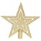 icon 13