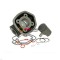 Set motor Piaggio / Gilera apa MC3 50 cc (5 colturi)