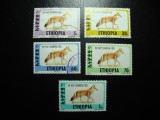 ETIOPIA FAUNA