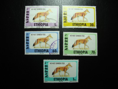 ETIOPIA FAUNA foto