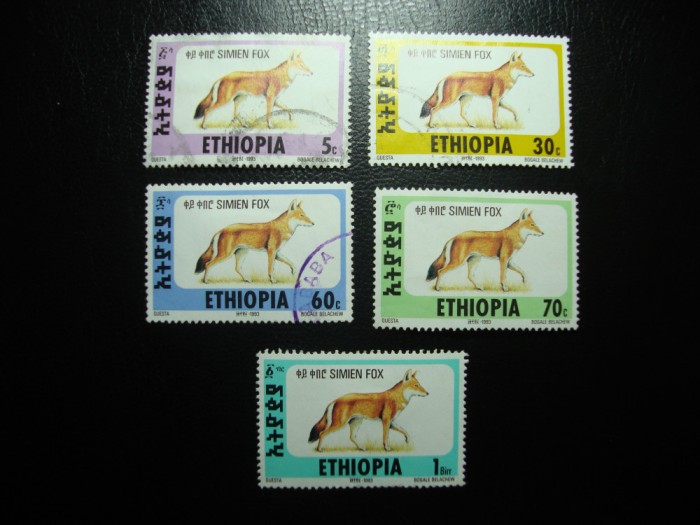 ETIOPIA FAUNA