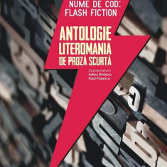 Nume de cod: Flash fiction. Antologie Literomania de proză scurtă - Paperback brosat - Adina Diniţoiu, Raul Popescu - Paralela 45