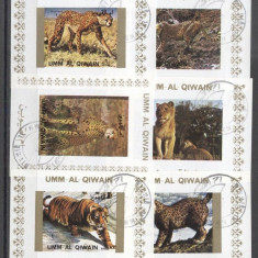 Umm al Qiwain 1973 Tigers, 6 mini imperf. sheet, used E.105