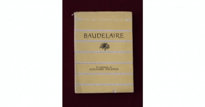 VERSURI - BAUDELAIRE foto