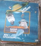 Vinil 1 Vinyl Electrecord Anastasia Lazariuc