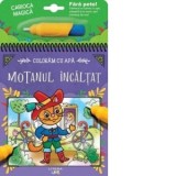 Coloram cu apa. Motanul incaltat