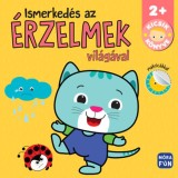 Kicsik k&ouml;nyve - Ismerked&eacute;s az &eacute;rzelmek vil&aacute;g&aacute;val