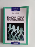 ECONOMIA SOCIALA A GRUPURILOR VULNERABILE - DORU BUZDUCEA