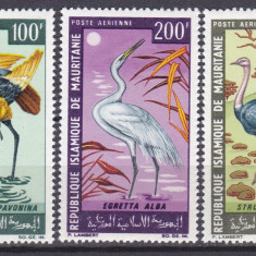 DB1 Fauna Pasari 1967 Mauritania 3 v. PA MNH