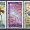 DB1 Fauna Pasari 1967 Mauritania 3 v. PA MNH
