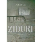 Ziduri - Robert Cos