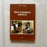 Ion V. Lungu - Prin padurile Sibiului