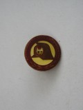 QW9 J 76 - Insigna - tematica pionieri - Prieten al pompierilor fruntas - 2 cm