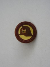 QW9 J 76 - Insigna - tematica pionieri - Prieten al pompierilor fruntas - 2 cm