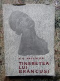 Tineretea lui Brancusi - V. G. Paleolog