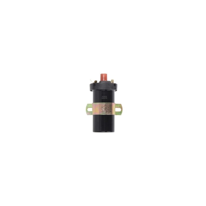 Bobina de inductie VW LT 28-35 I platou sasiu 281-363 BERU ZS124