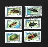 somali insecte mnh