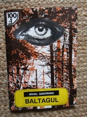 BALTAGUL - MIHAIL SADOVEANU foto