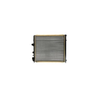 Radiator apa RENAULT KANGOO Express FC0 1 AVA Quality Cooling RT2174 foto