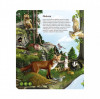 Raspundel Istetel - Carte Lumea animalelor