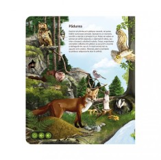 Raspundel Istetel, carte Lumea animalelor foto