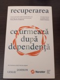 Cumpara ieftin Leslie Jamison - Recuperarea ce urmeaza dupa dependenta