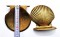icon 9