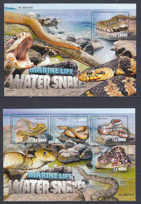 Sierra Leone 2016 - Fauna Marina - SERPI de APA - BL + KB - MNH