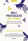 Boli provocate de stres