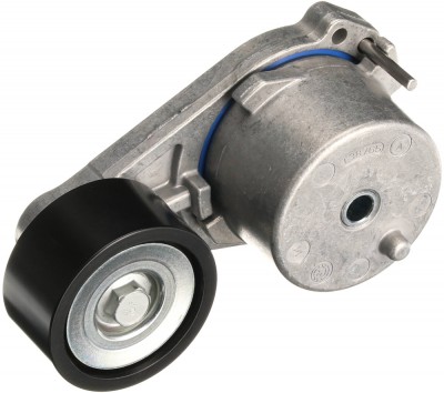 GATES T38765 FleetRunner&amp;trade; Intinzator curea, curea distributie foto