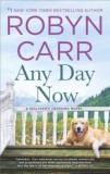 Any Day Now - Seria Sullivan Crossing - Carte in Engleza