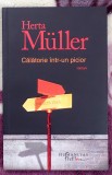 Calatorie intr-un picior - Herta Muller