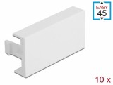Set 10 placi de acoperire pentru modul Easy 45 Alb 45 x 22.5 mm, Delock 81301