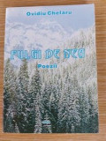 Fulgi de nea- Ovidiu Chelaru