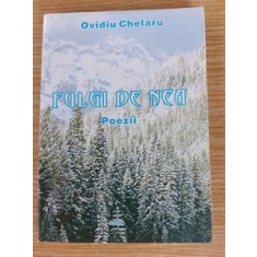 Fulgi de nea- Ovidiu Chelaru